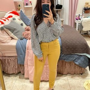 High Rise Pixie Pants